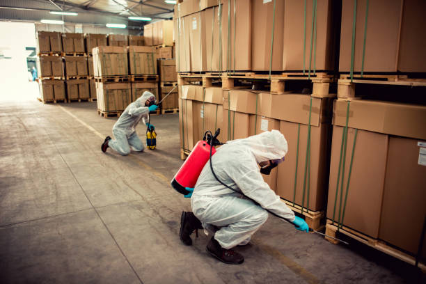 Best Affordable Pest Control Services  in Berry Creek, CA
