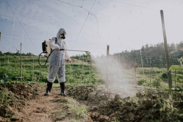 Best Pest Prevention Services  in Berry Creek, CA