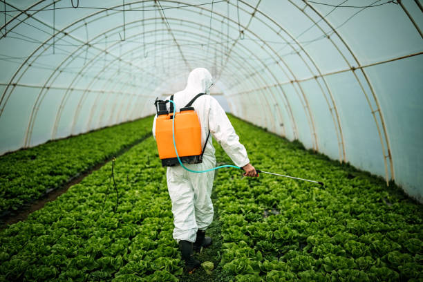Best Best Pest Control Companies  in Berry Creek, CA