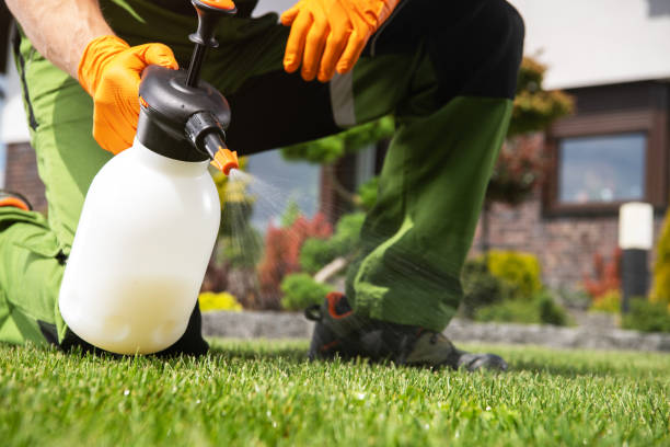 Best Pest Removal Services  in Berry Creek, CA