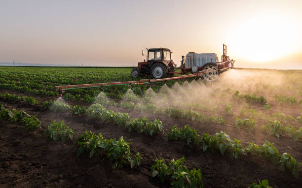 Best Commercial Pest Control Services  in Berry Creek, CA