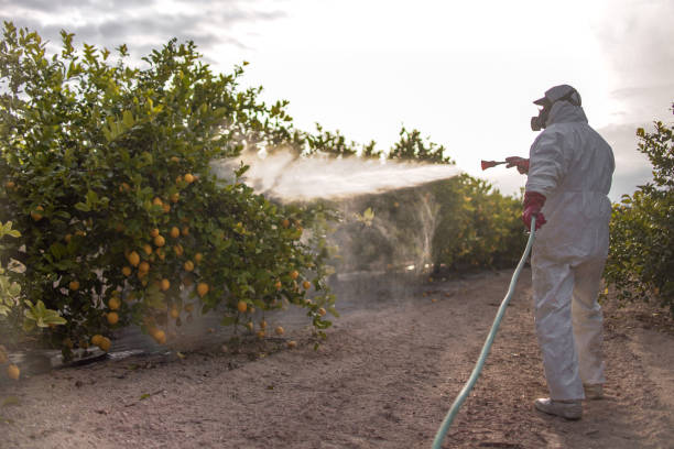 Best Pest Inspection Near Me  in Berry Creek, CA
