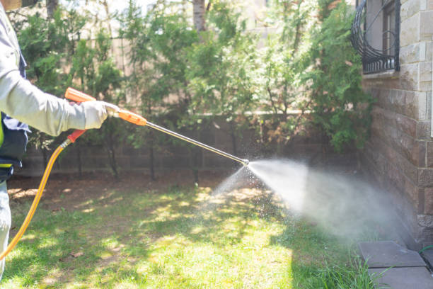 Best Rat Extermination Near Me  in Berry Creek, CA