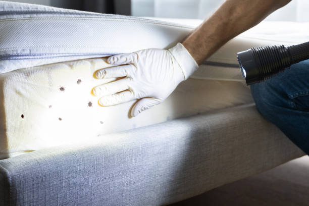 Best Pest Control Near Me  in Berry Creek, CA