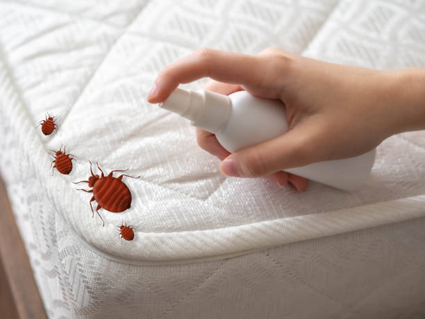 Best Pest Inspection Near Me  in Berry Creek, CA