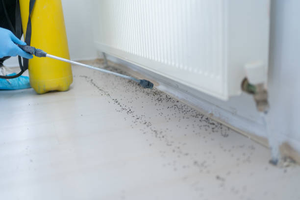  Berry Creek, CA Pest Control Pros