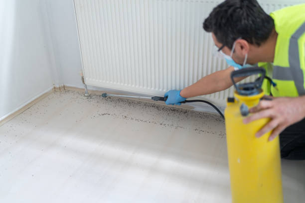 Best Wasp Removal Services  in Berry Creek, CA